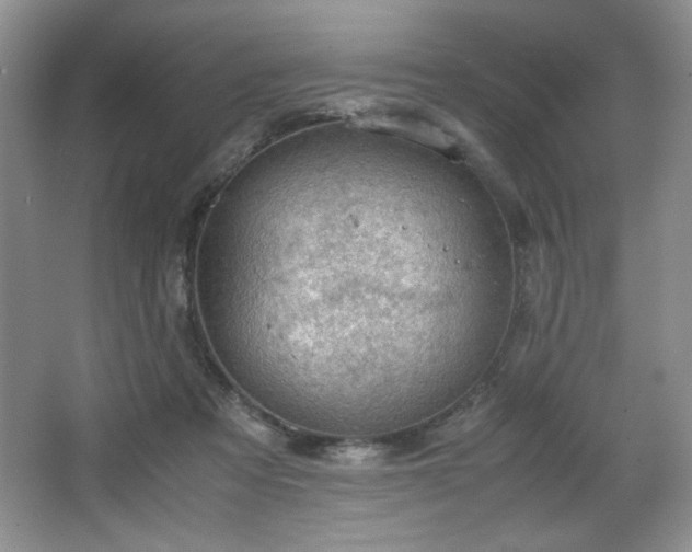 X0000066940313200603241149