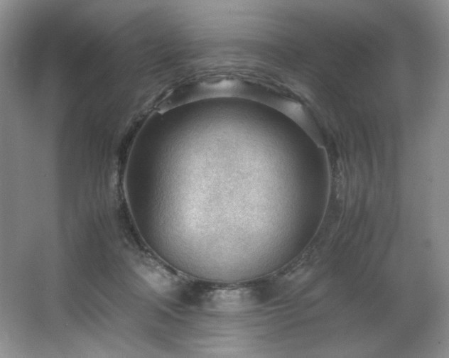 X0000066940314200603241149