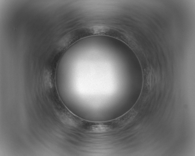 X0000066940316200603241149