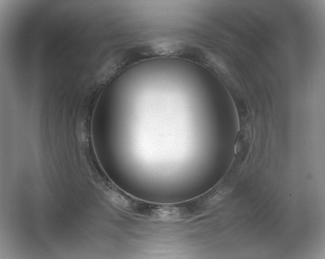 X0000066940317200603241149