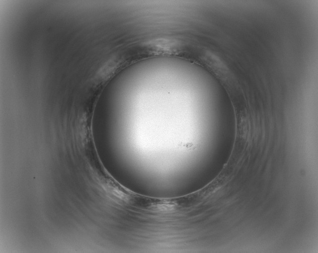 X0000066940318200603241149