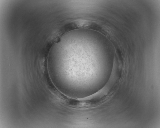 X0000066940319200603241149