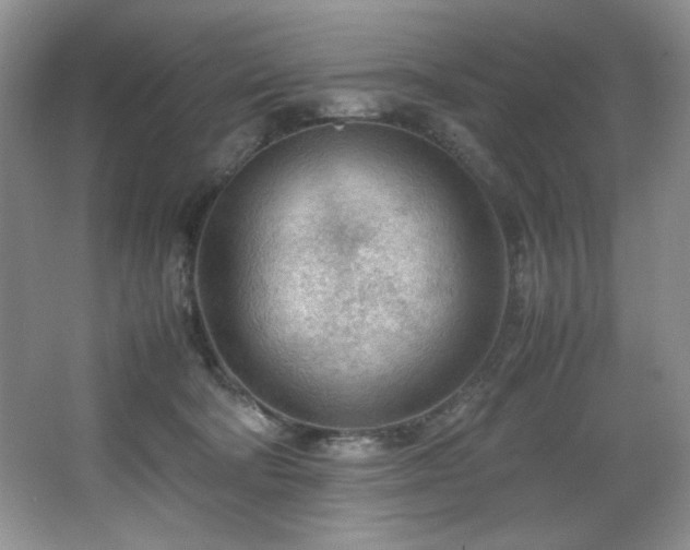 X0000066940322200603241149