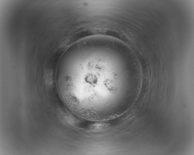 X0000066940323200603241149