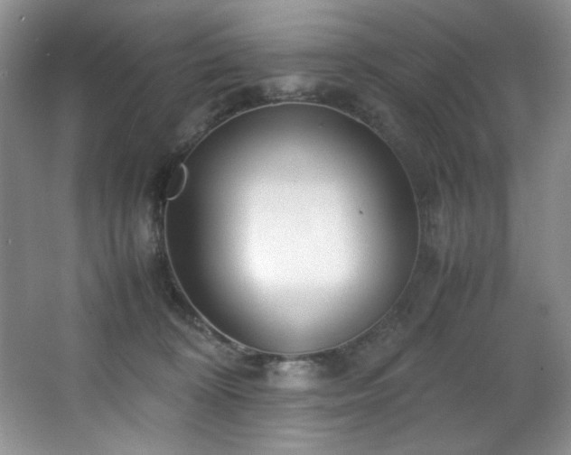 X0000066940324200603241149