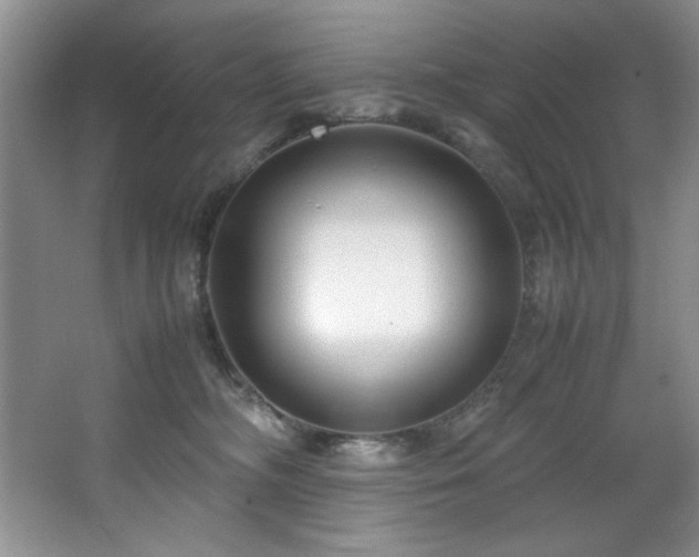 X0000066940326200603241149