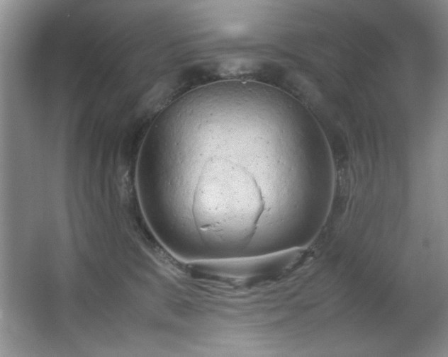 X0000066940327200603241149