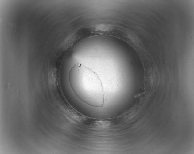 X0000066940328200603241148