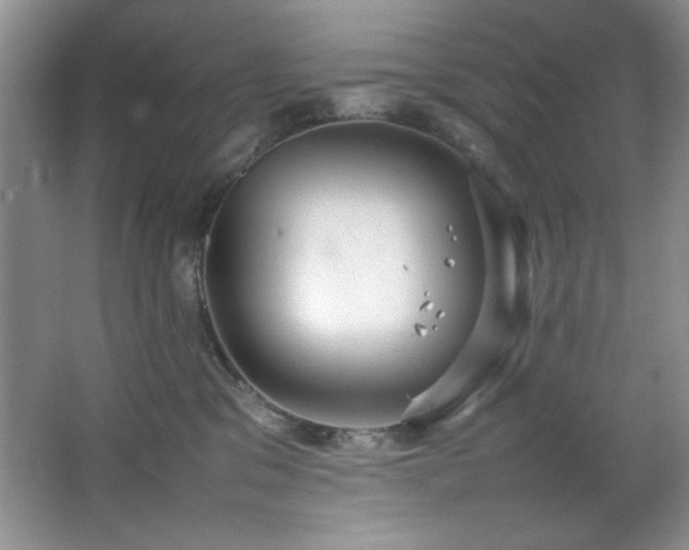 X0000066940329200603241148