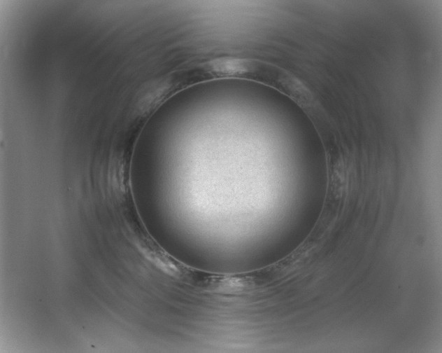 X0000066940330200603241148