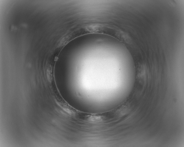 X0000066940332200603241148