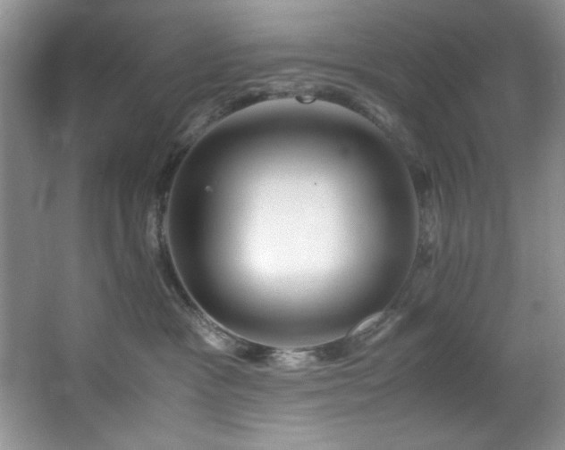 X0000066940333200603241148