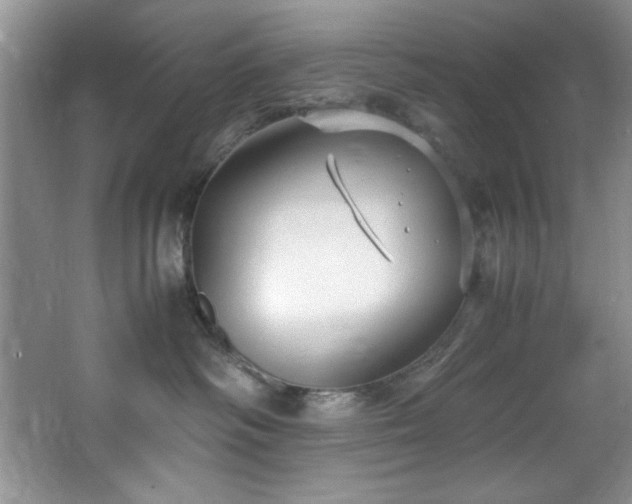 X0000066940334200603241148