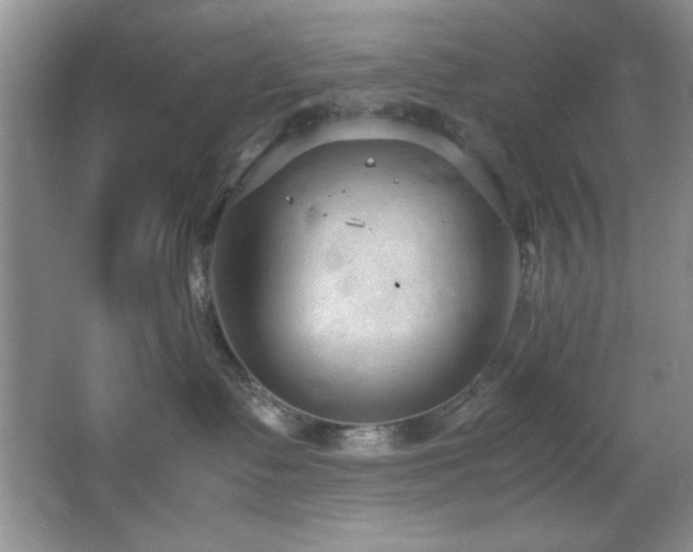 X0000066940335200603241148