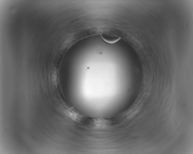 X0000066940336200603241148