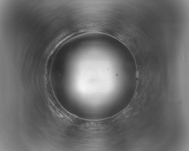 X0000066940338200603241148