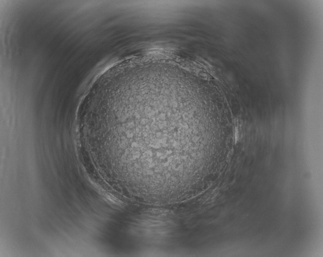 X0000066940339200603241148