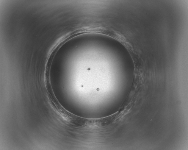 X0000066940340200603241148