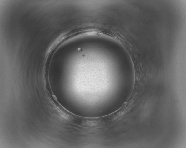 X0000066940341200603241148