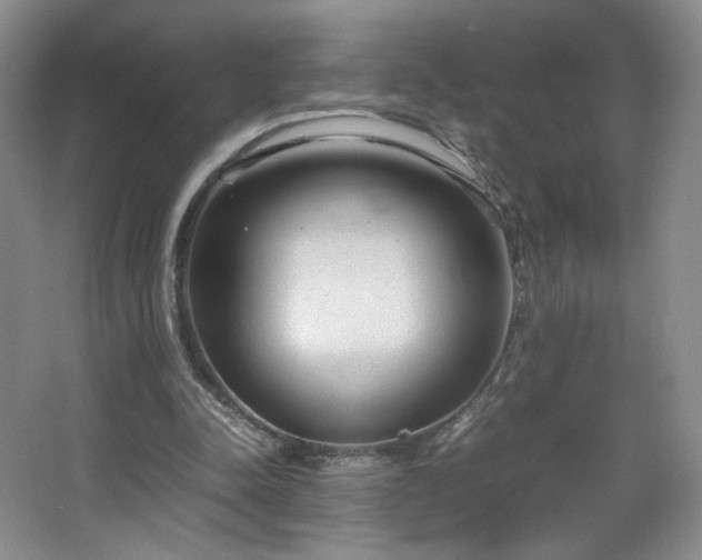 X0000066940342200603241148