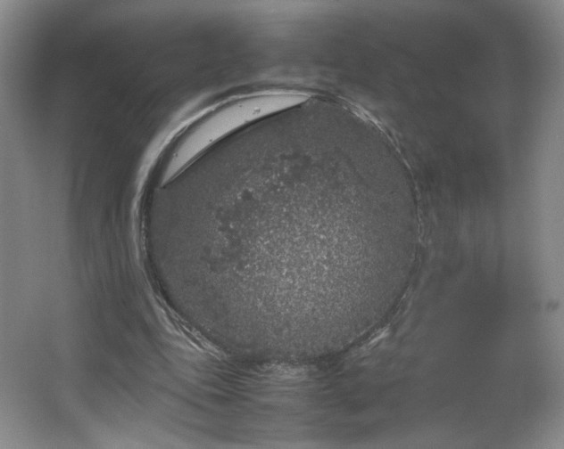 X0000066940343200603241148