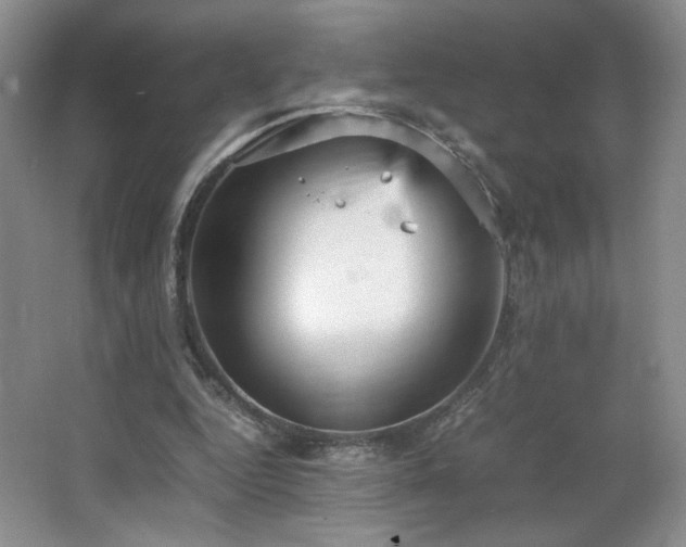 X0000066940344200603241148