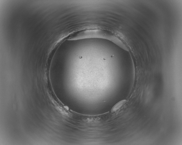 X0000066940345200603241148