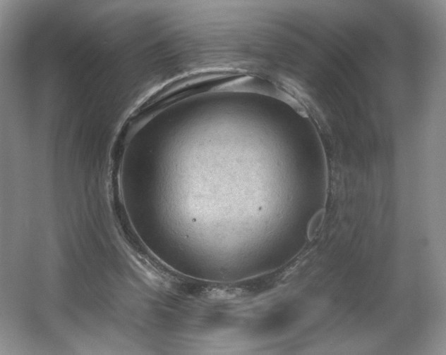 X0000066940346200603241148