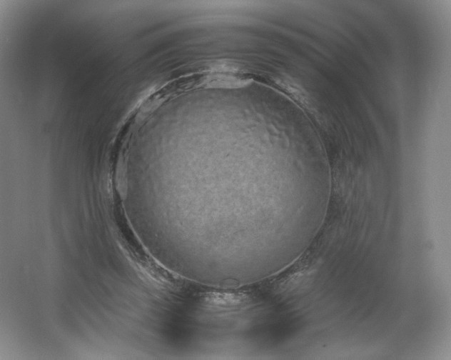 X0000066940347200603241148