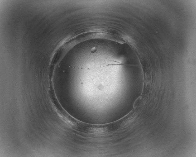 X0000066940349200603241148