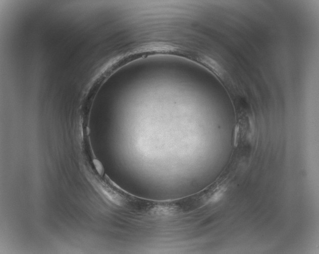 X0000066940350200603241148