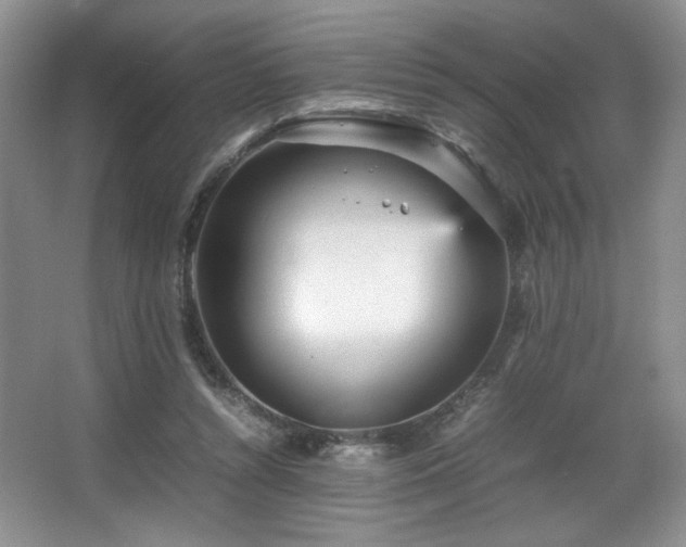 X0000066940352200603241148