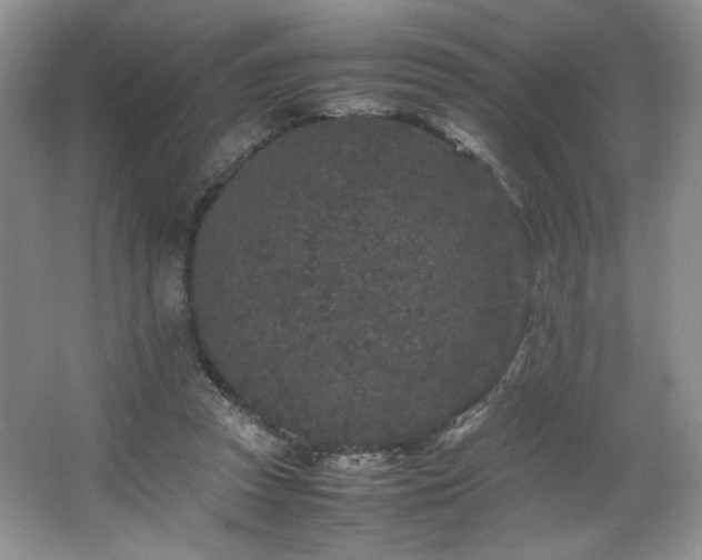 X0000066940353200603241148