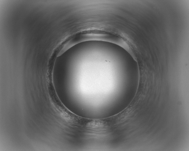 X0000066940354200603241148