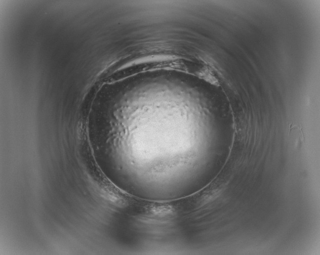 X0000066940355200603241148