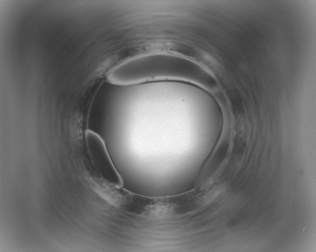 X0000066940356200603241148