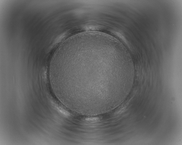 X0000066940357200603241148