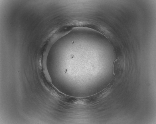 X0000066940358200603241148