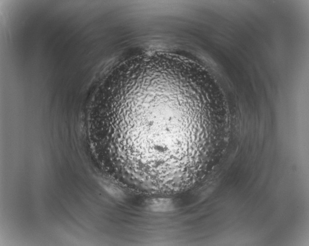 X0000066940361200603241148