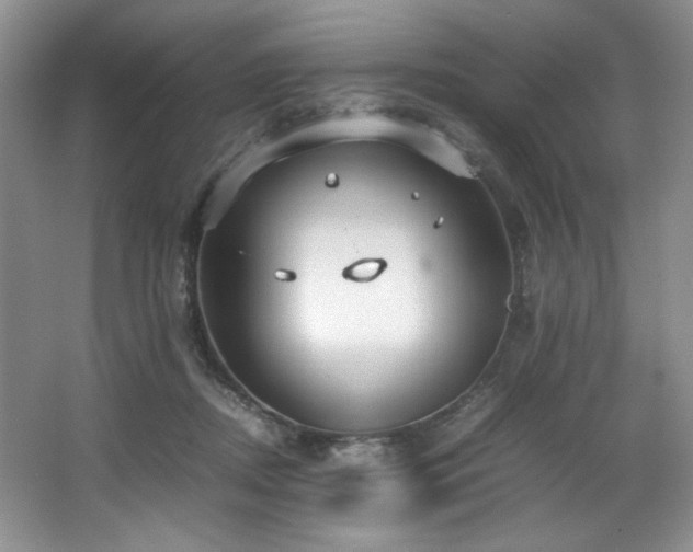 X0000066940362200603241148