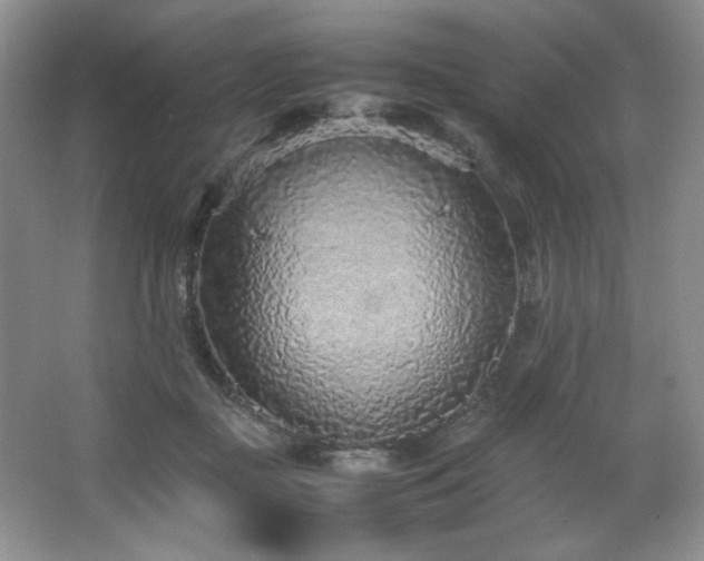 X0000066940363200603241148