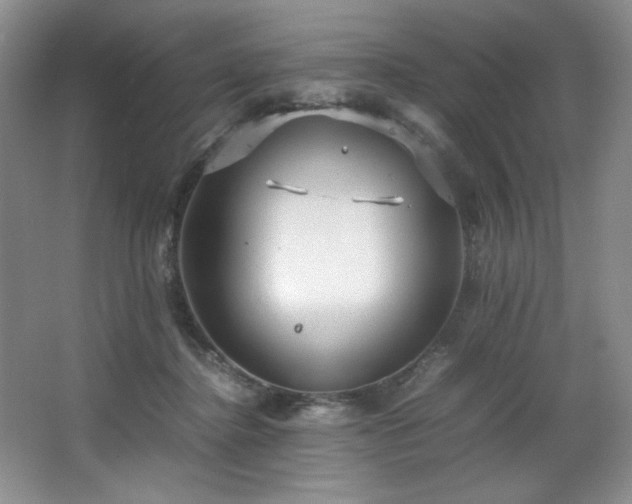 X0000066940364200603241148