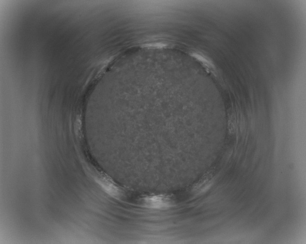 X0000066940365200603241148