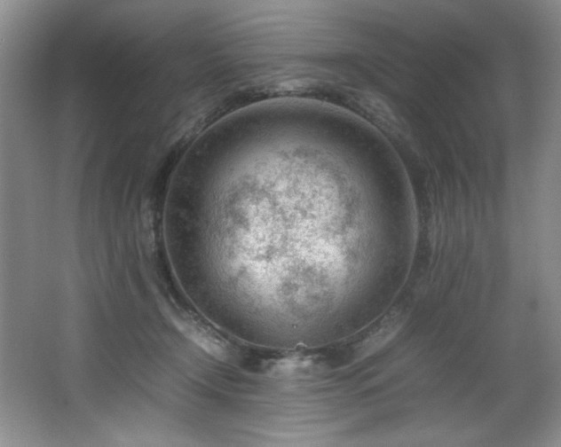 X0000066940366200603241148