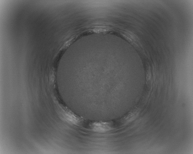 X0000066940367200603241148