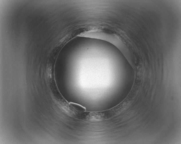 X0000066940368200603241148