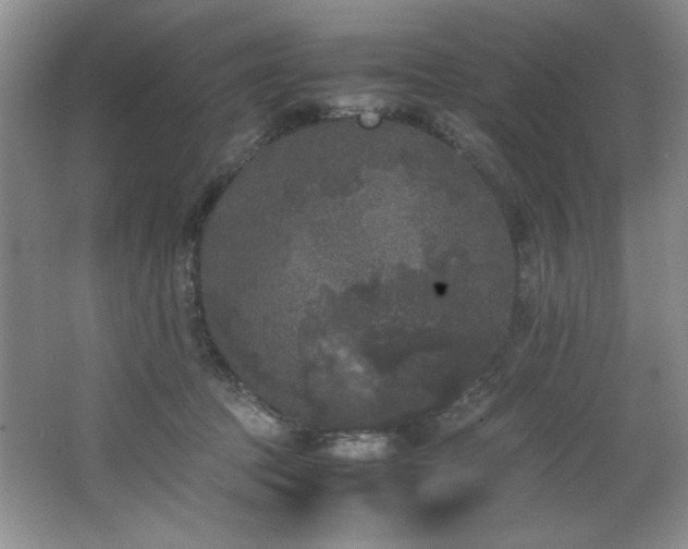 X0000066940369200603241148