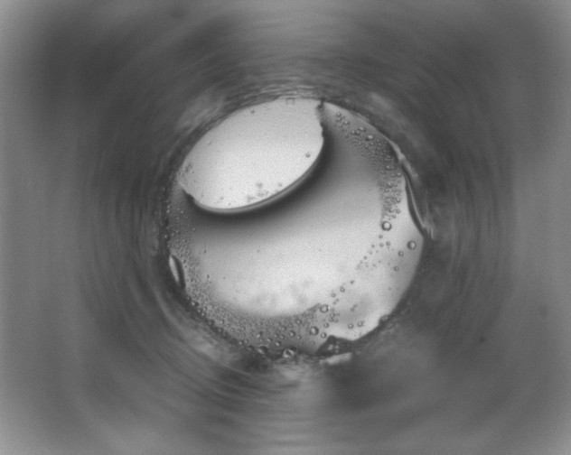 X0000066940370200603241148