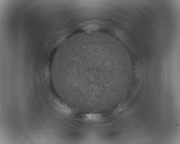 X0000066940371200603241148