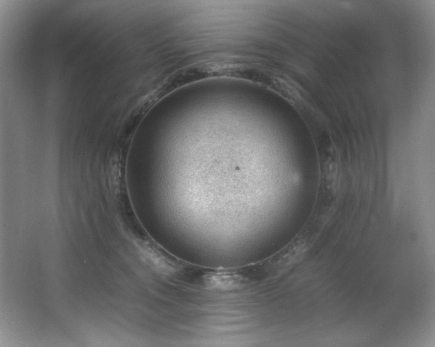 X0000066940372200603241148